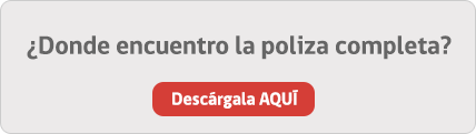 Descargar poliza