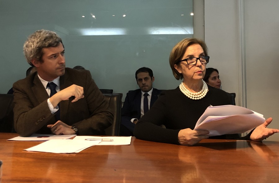 Ministra Hutt y Luis Stuven en reunión por alza de fallecidos