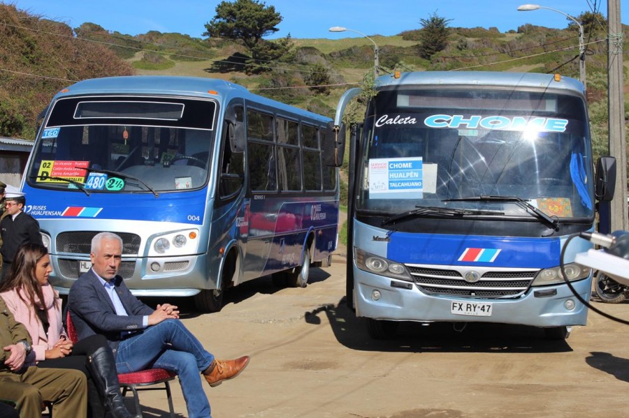 Buses que harán el nuevo servicio a Caleta Chome